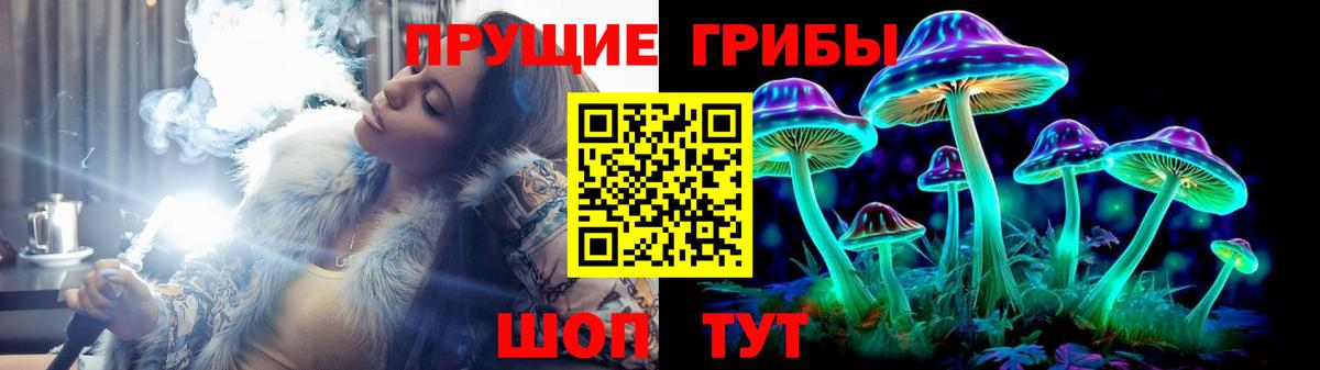 Псилоцибиновые грибы GOLDEN TEACHER  Вход с VPN  Медногорск 